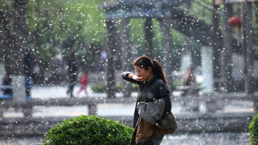 过敏季越来越长，过敏者越来越多，这已经是&ldquo;新世纪流行病&rdquo;了吗？